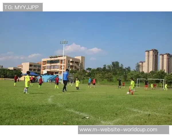 华一体育单招培训学校助力学子实现体育梦想的全方位指导与支持